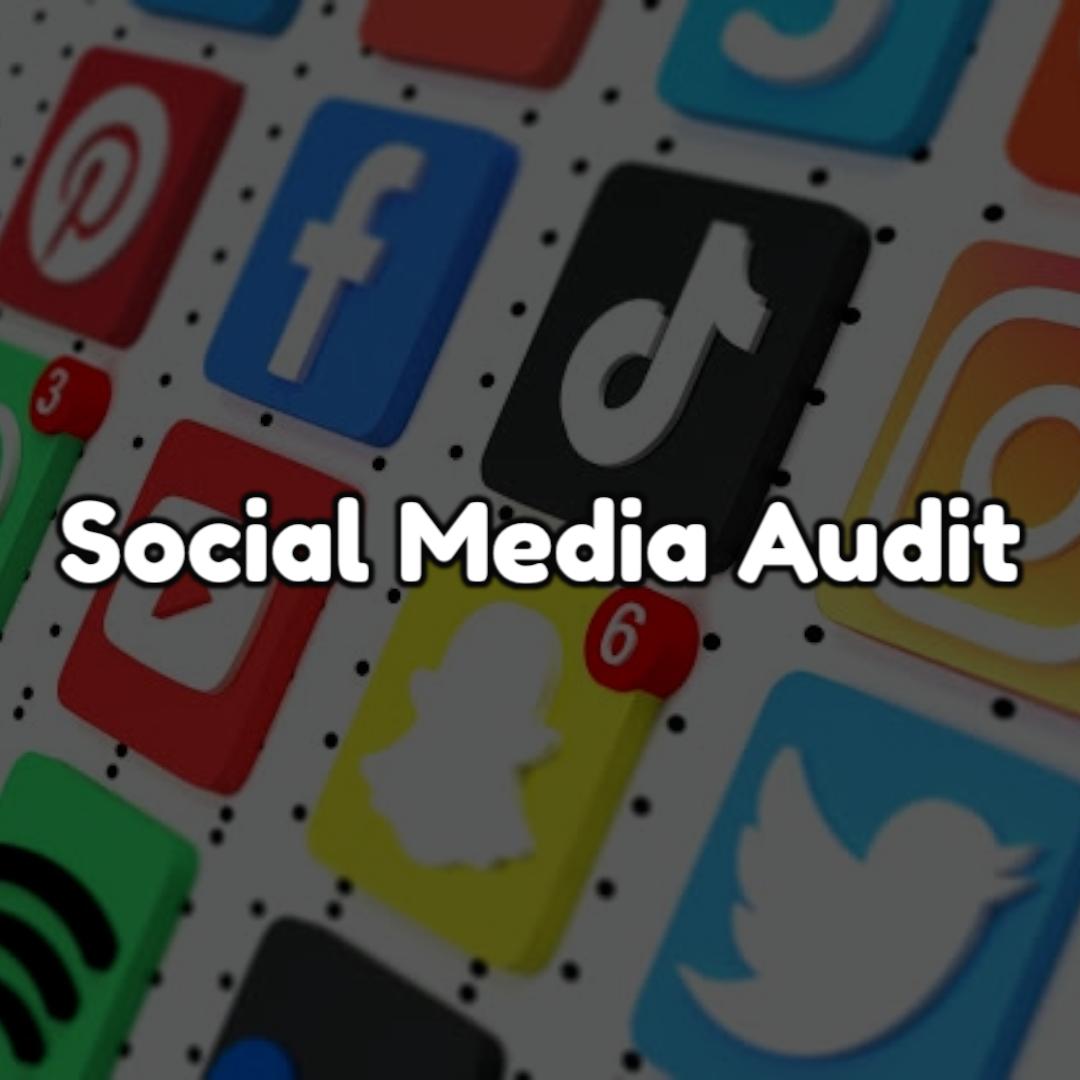 Social Media Audit