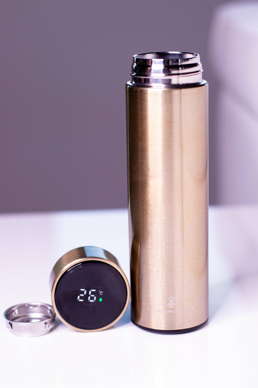 Stainless Steel LED Bottle - NinaDoesTheMost